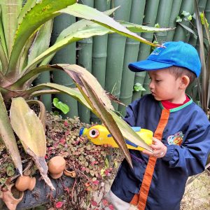 Juego de Granja y Sostenibilidad en Steam Jardín Campestre Montessori Bilingüe Cajicá
