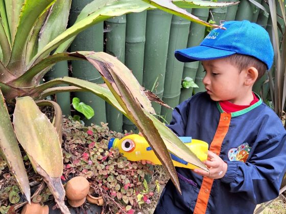 Juego de Granja y Sostenibilidad en Steam Jardín Campestre Montessori Bilingüe Cajicá