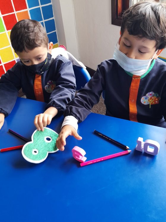 Racionamiento Cognitivo: Optimización Mental Jardín Campestre Montessori Bilingüe Cajicá