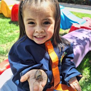 Experiencia de Sostenibilidad en Granja en Steam Jardín Campestre Montessori Bilingüe Cajicá