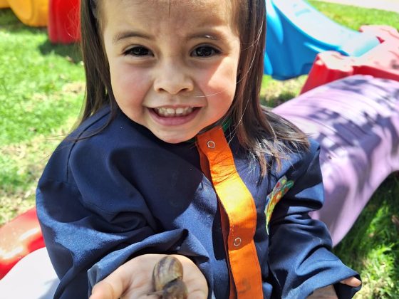 Experiencia de Sostenibilidad en Granja en Steam Jardín Campestre Montessori Bilingüe Cajicá