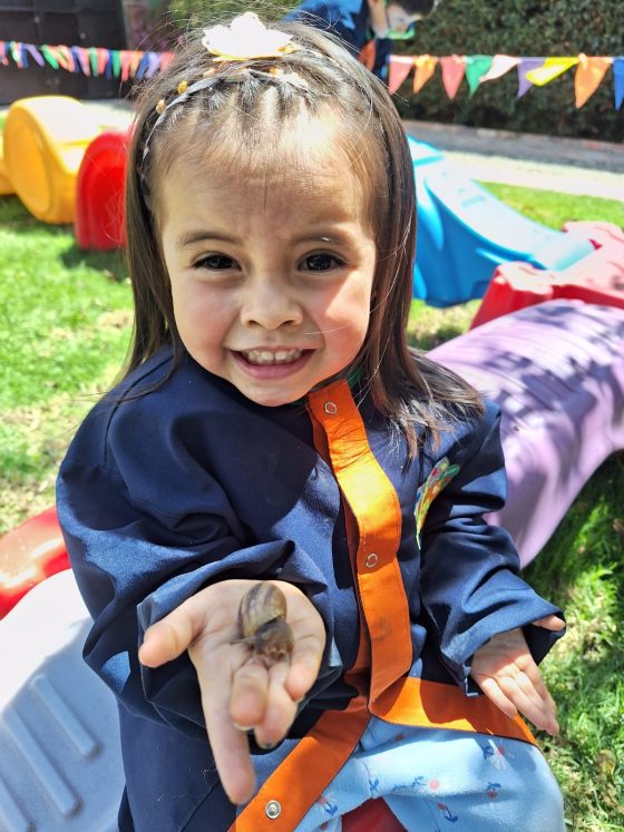 Experiencia de Sostenibilidad en Granja en Steam Jardín Campestre Montessori Bilingüe Cajicá