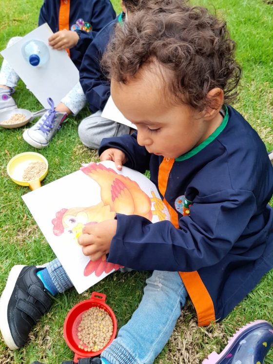Aprendizaje Interactivo en Kids Tree Jardín Campestre Montessori Bilingüe Cajicá