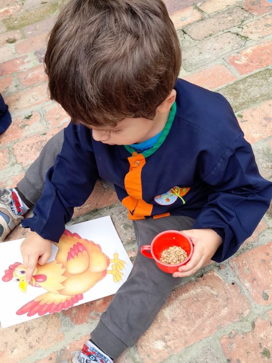 Educación Montessori en Jardín Infantil Kids Tree Jardín Campestre Montessori Bilingüe Cajicá