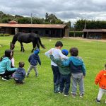 Guardería y Daycare Kids Tree Cajicá – Innovador cuidado flexible para Niños hasta 7 Años Experiencia Educativa Campestre en Kids Tree en Cajicá. Salones Montessori. Bilingüe.