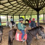 Aprendizaje de Equitación en Kids Tree Jardín Campestre Montessori Bilingüe Cajicá