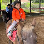 Clase de equitación infantil en Kids Tree Learning Club con enfoque en desarrollo motor y emocional