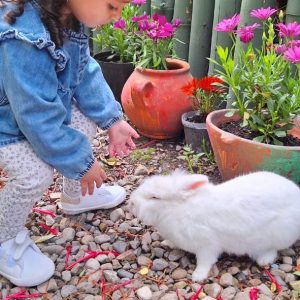 Jardín bilingüe montessori Cajicá