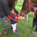 Niños alimentando y aprendiendo equitación en Kids Tree Jardín Campestre Montessori Bilingüe Cajicá